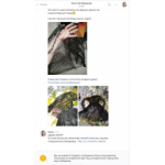 Все отзывы о Осторожно мошенники!! http://vk.com/melady_shop на stena-otzyvov.com