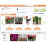 Все отзывы о Отзыв о flowers-for-life.ru на stena-otzyvov.com