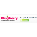 Все отзывы о Отзыв о http://berryb.ru КИДАЛЫ на stena-otzyvov.com