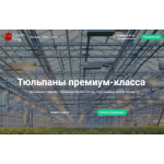 Все отзывы о Отзывы об интернет-магазине https://tulpan-king.ru на stena-otzyvov.com