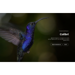 Все отзывы о Осторожно мошенники!! colibri-biz.com на stena-otzyvov.com