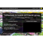 Все отзывы о Осторожно мошенники!! Цветторг Tsvettorg.com - мошенники! на stena-otzyvov.com