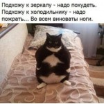 Все отзывы о Осторожно мошенники!! PROFI на stena-otzyvov.com
