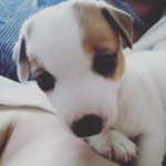 Все отзывы о Отзыв о Ип Соня)) на stena-otzyvov.com
