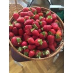 Все отзывы о Отзывы об интернет-магазине 7organic на stena-otzyvov.com