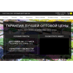 Все отзывы о Положительный отзыв Tsvettorg.com - оптовый центр цветов. на stena-otzyvov.com
